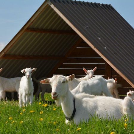 Farma Klinecヴィラ エクステリア 写真