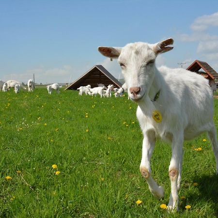 Farma Klinecヴィラ エクステリア 写真